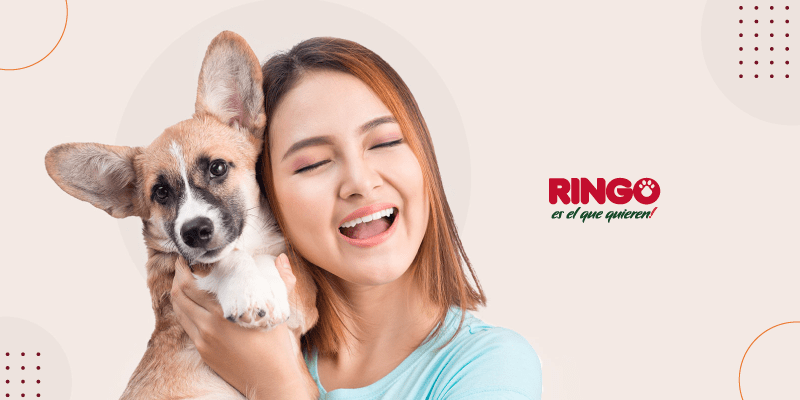 consejos para una adopción responsable